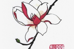 Magnolia-12-x-10-Cm-Chinese-Ink-Sold-jpg