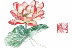 Water-Lilly-12.3-x-10-cm-Chinese-ink-on-watercolour-paper-Sold-jpg