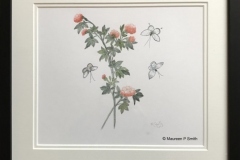 Chinese-Butterflies-Blossom.-Watercolour-Framed-250.00