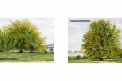 Horse-Chestnut-Trees-Watercolour-Gum-Arabic-66x39cm-Framed-325.